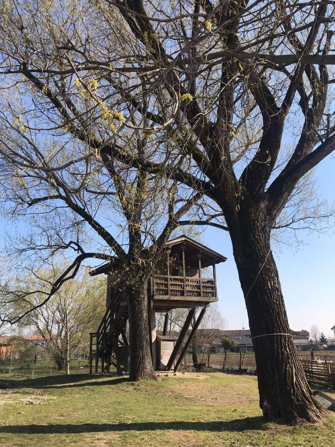 Borgarello La Casa Sull'Albero Oasi Certosa Di Paviaヴィラ エクステリア 写真