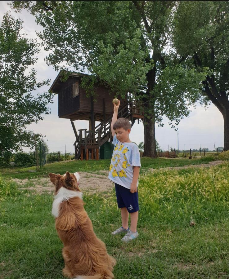 Borgarello La Casa Sull'Albero Oasi Certosa Di Paviaヴィラ エクステリア 写真