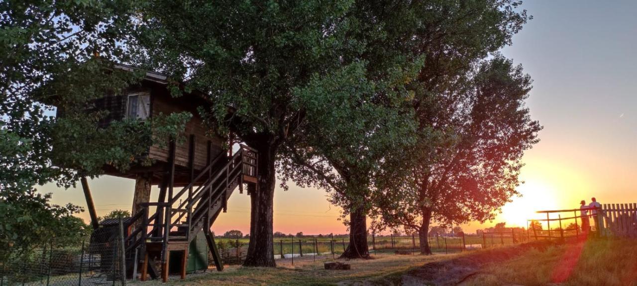 Borgarello La Casa Sull'Albero Oasi Certosa Di Paviaヴィラ エクステリア 写真